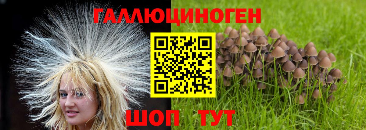 Обнинск  Галлюциногенные грибы ЛСД  Вход с VPN 